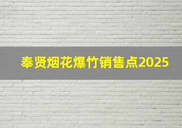 奉贤烟花爆竹销售点2025