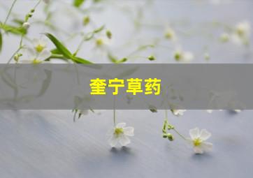 奎宁草药