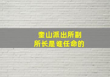 奎山派出所副所长是谁任命的