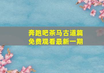 奔跑吧茶马古道篇免费观看最新一期