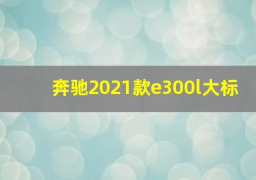 奔驰2021款e300l大标