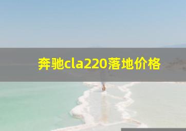 奔驰cla220落地价格