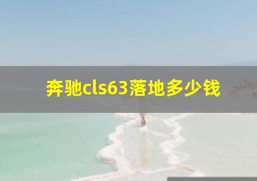 奔驰cls63落地多少钱