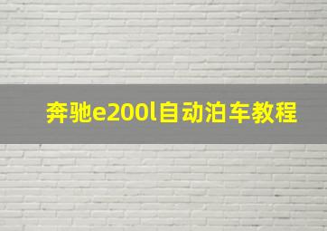 奔驰e200l自动泊车教程