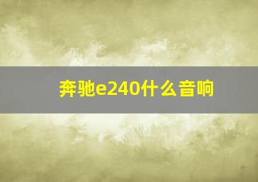 奔驰e240什么音响