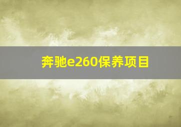 奔驰e260保养项目