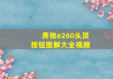 奔驰e260头顶按钮图解大全视频