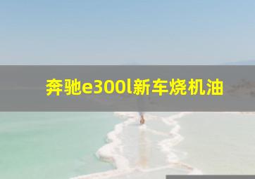 奔驰e300l新车烧机油