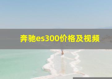 奔驰es300价格及视频