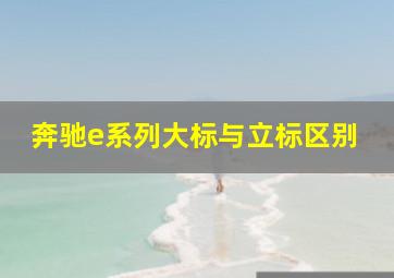 奔驰e系列大标与立标区别