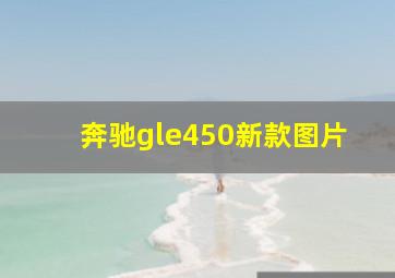 奔驰gle450新款图片