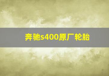 奔驰s400原厂轮胎