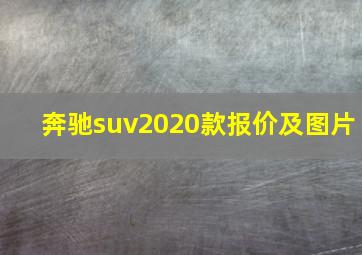 奔驰suv2020款报价及图片