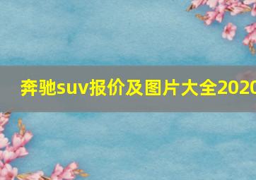 奔驰suv报价及图片大全2020