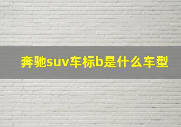 奔驰suv车标b是什么车型