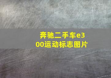 奔驰二手车e300运动标志图片