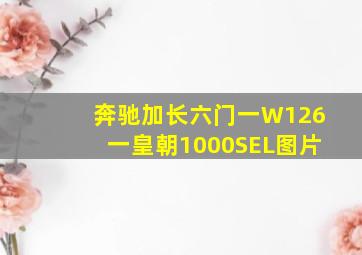 奔驰加长六门一W126一皇朝1000SEL图片