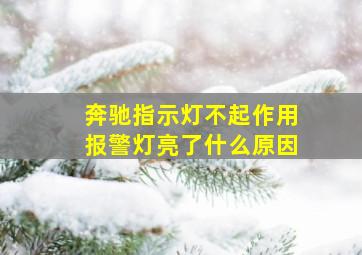 奔驰指示灯不起作用报警灯亮了什么原因