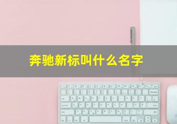 奔驰新标叫什么名字