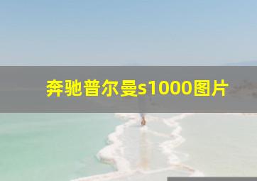 奔驰普尔曼s1000图片