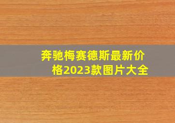 奔驰梅赛德斯最新价格2023款图片大全