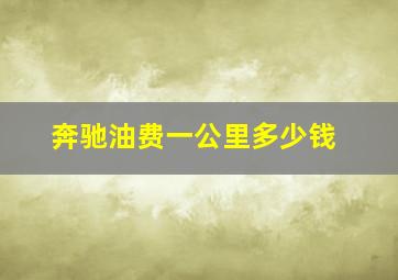 奔驰油费一公里多少钱