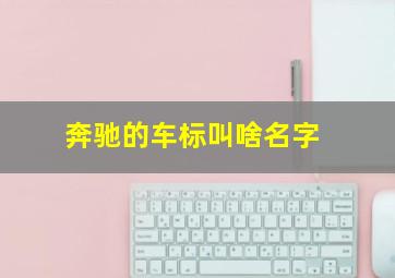 奔驰的车标叫啥名字