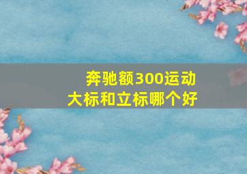 奔驰额300运动大标和立标哪个好