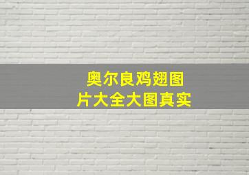 奥尔良鸡翅图片大全大图真实