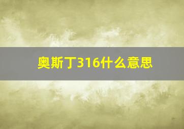 奥斯丁316什么意思