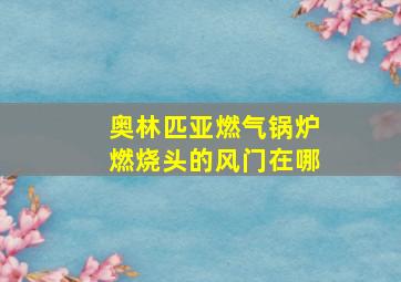 奥林匹亚燃气锅炉燃烧头的风门在哪