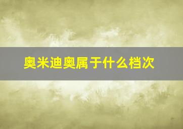 奥米迪奥属于什么档次