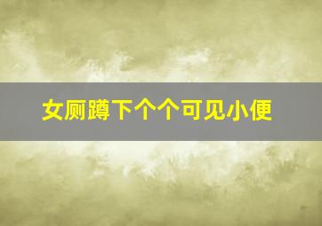 女厕蹲下个个可见小便