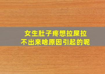 女生肚子疼想拉屎拉不出来啥原因引起的呢