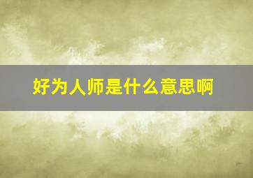 好为人师是什么意思啊