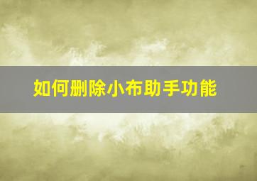 如何删除小布助手功能