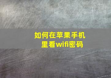 如何在苹果手机里看wifi密码