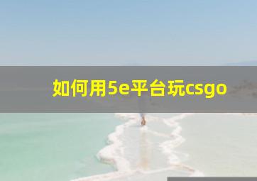 如何用5e平台玩csgo