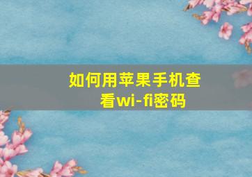 如何用苹果手机查看wi-fi密码