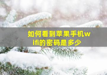 如何看到苹果手机wifi的密码是多少