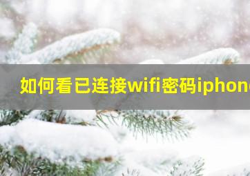 如何看已连接wifi密码iphone