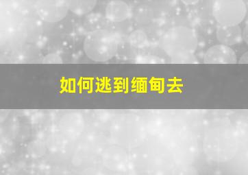 如何逃到缅甸去