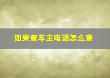 如果查车主电话怎么查