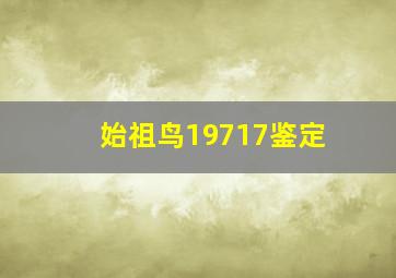 始祖鸟19717鉴定