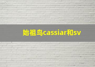 始祖鸟cassiar和sv