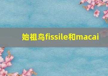 始祖鸟fissile和macai