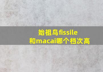 始祖鸟fissile和macai哪个档次高