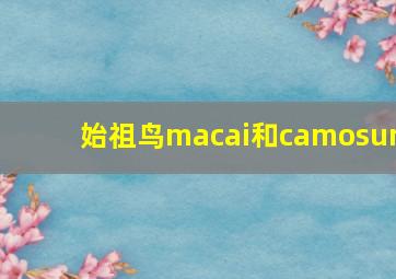 始祖鸟macai和camosun