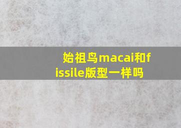 始祖鸟macai和fissile版型一样吗