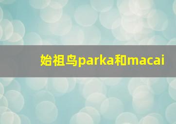 始祖鸟parka和macai